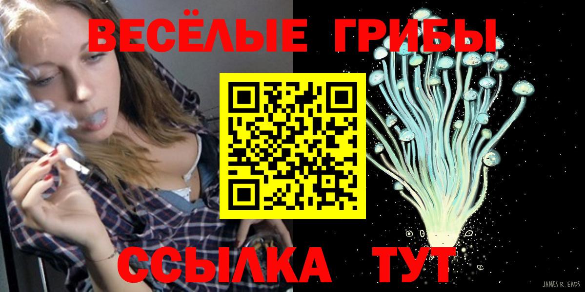 Псилоцибиновые грибы Magic Shrooms Ялуторовск