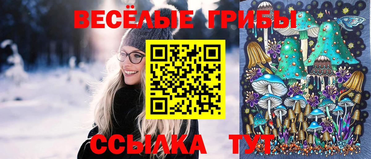 Галлюциногенные грибы прущие грибы  Галлюциногенные грибы Psilocybine cubensis  Ялуторовск  Вход с VPN 